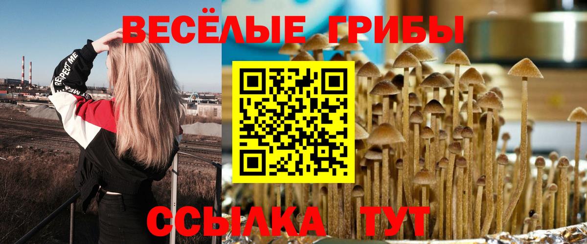 Псилоцибиновые грибы GOLDEN TEACHER Асбест