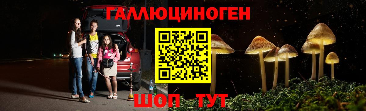 Галлюциногенные грибы GOLDEN TEACHER  как найти закладки  Асбест  Вход с VPN 